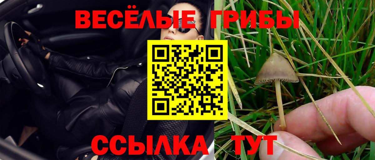 Шелехов  хочу наркоту  Вход с VPN  Псилоцибиновые грибы ЛСД 